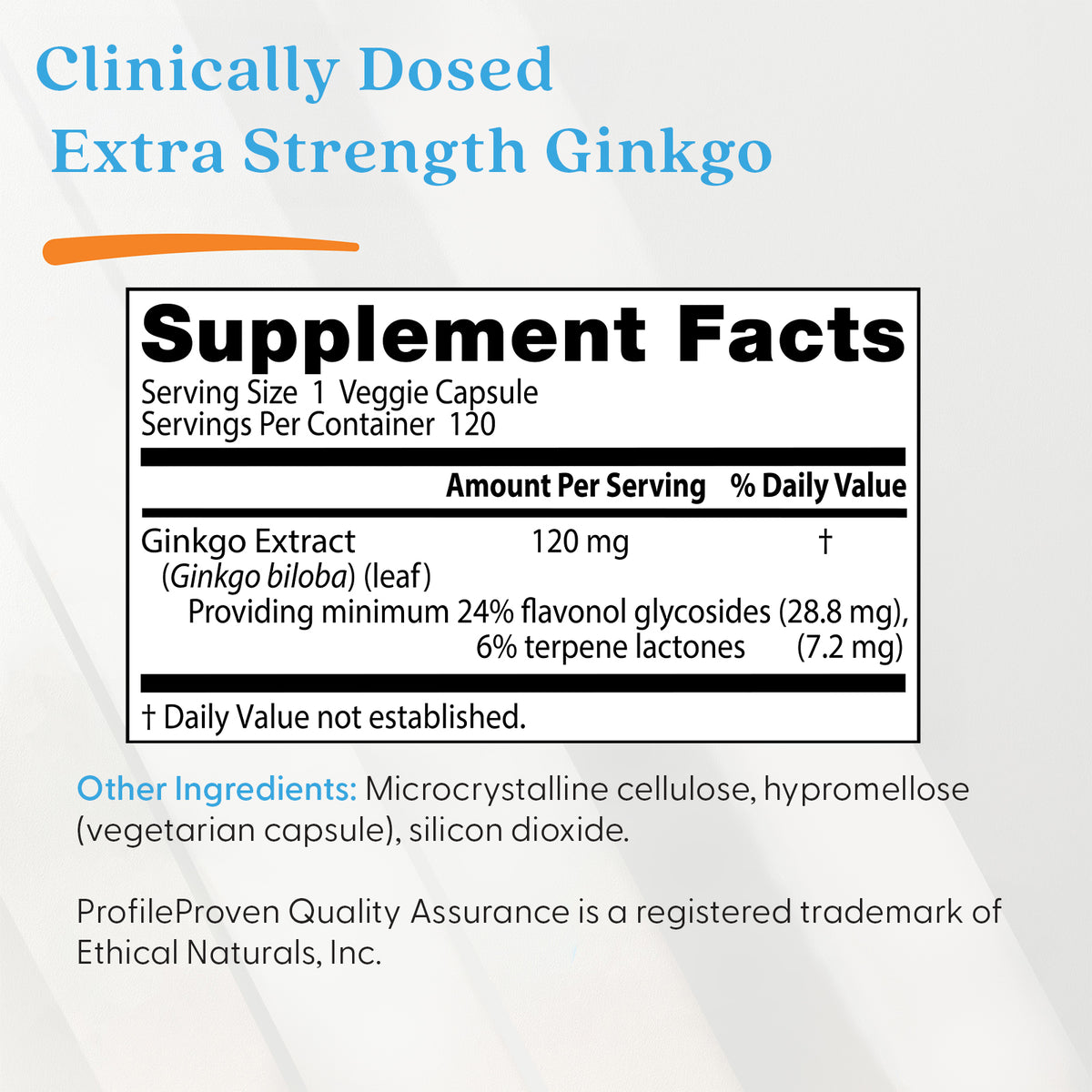 Doctor's Best Extra Strength Ginkgo, 120 mg, 120 Veggie Caps