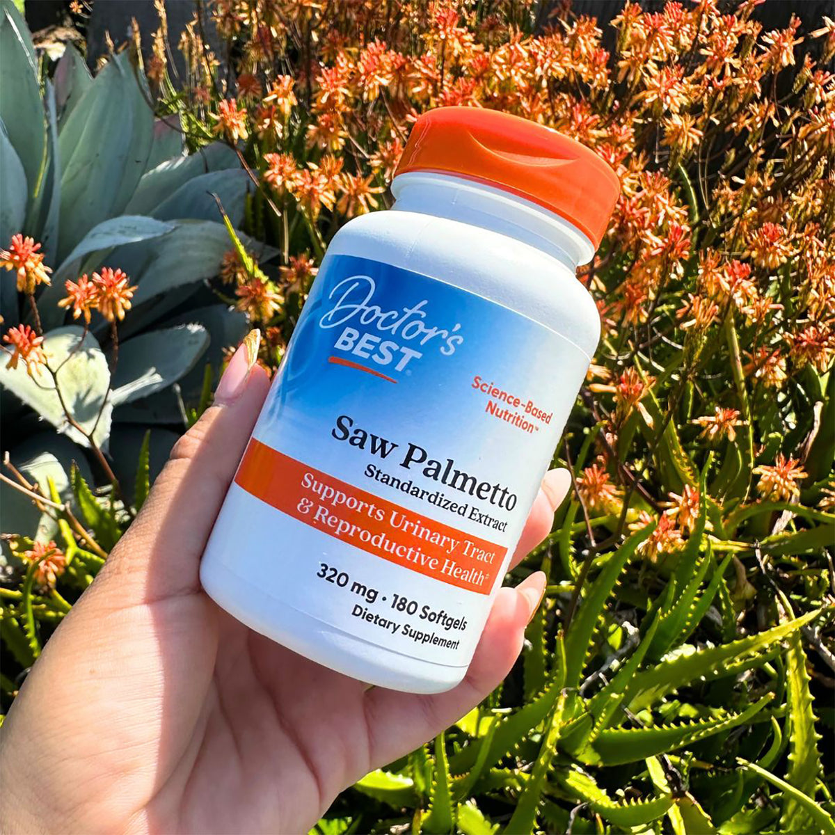 Doctor's Best Saw Palmetto, Standardized Extract, 320 mg, 180 Softgels