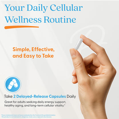 Doctor's Best NMN, 400 mg Per Serving, 60 Delayed Release Capsules